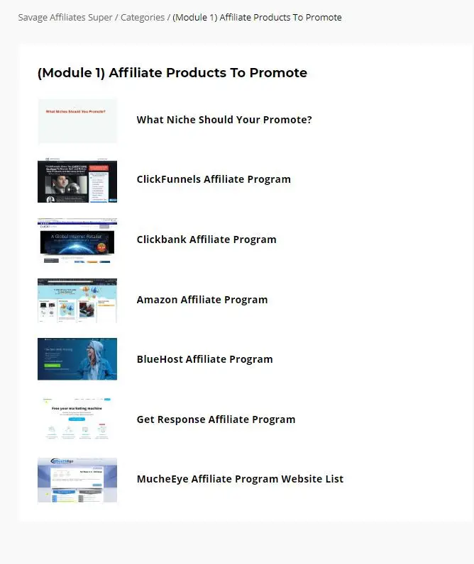 Savage Affiliates Module 1